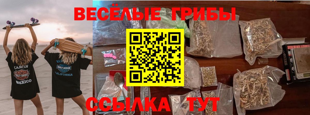 Псилоцибиновые грибы мицелий Железногорск